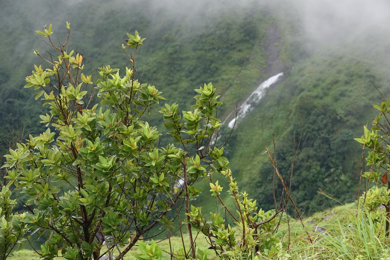Orion County Hotell Vagamon Exteriör bild