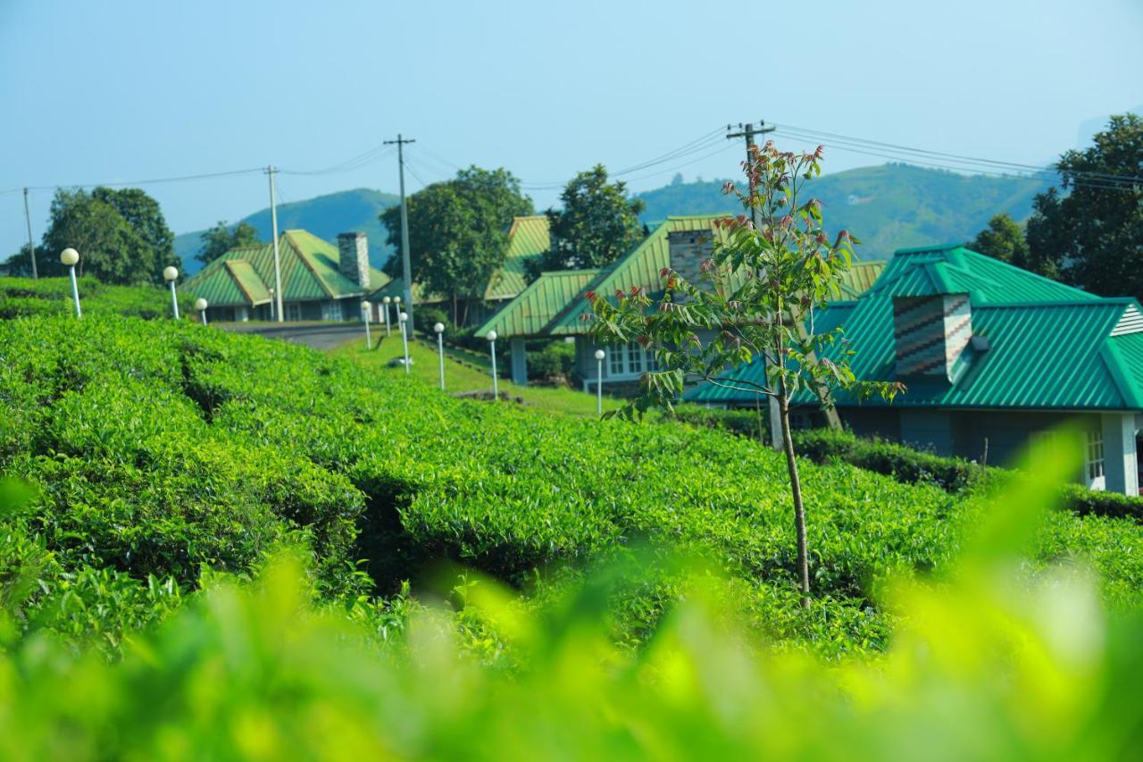 Orion County Hotell Vagamon Exteriör bild